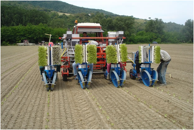 Masini de plantat mecanice pentru rasaduri in alveole piramidale, cilindrice sau conice